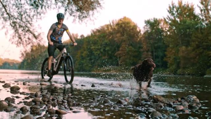 超级SLO MO山地自行车手在河边骑行，而他的狗在他旁边奔跑