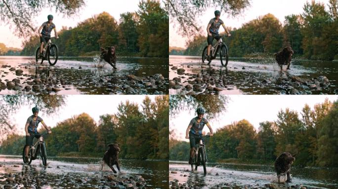 超级SLO MO山地自行车手在河边骑行，而他的狗在他旁边奔跑