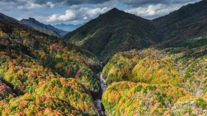 光雾山秋色缤纷山谷山林航拍峡谷河谷