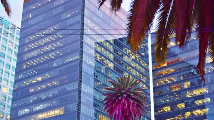 墨西哥城。棕榈树和现代商务中心的创意景观。自然和商业。对比。概念。创意观点。