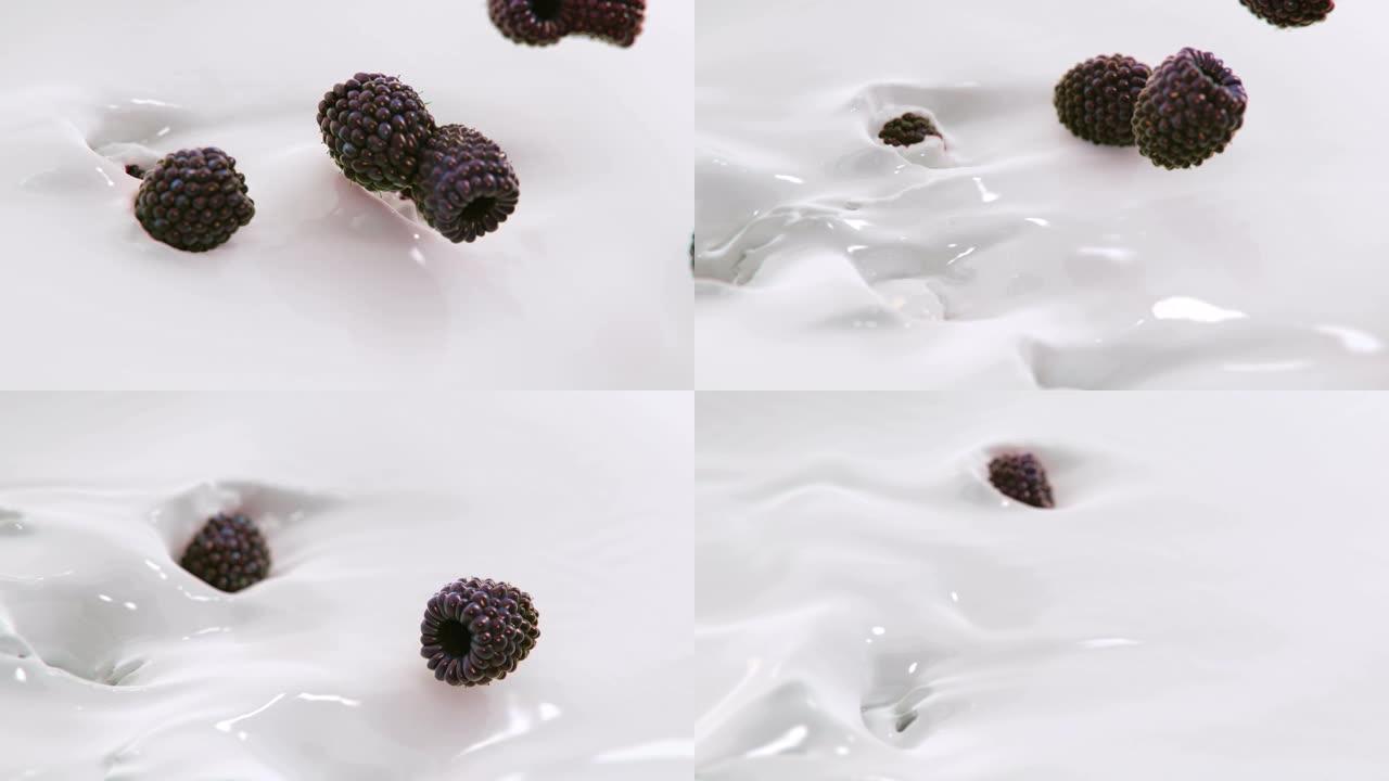 黑莓以4k超慢动作溅入液体奶油中