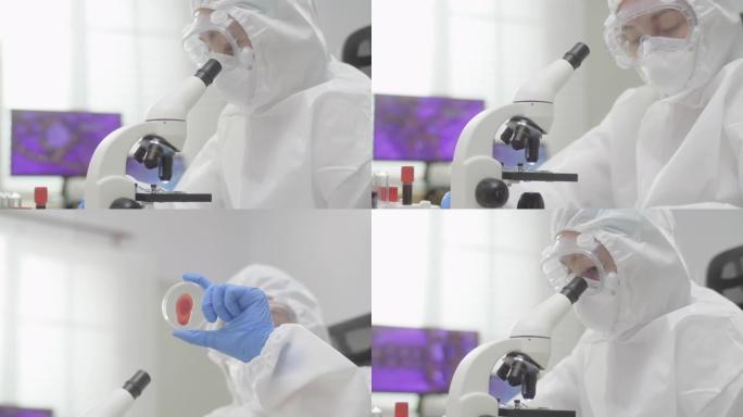 科学家在玻璃培养皿中观察血液样本