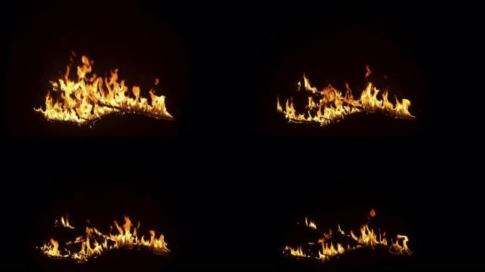 慢动作镜头: 木树枝在黑色背景下在强烈的火中燃烧。火焰慢慢消失。特殊效果、视觉效果、后期制作、动画的