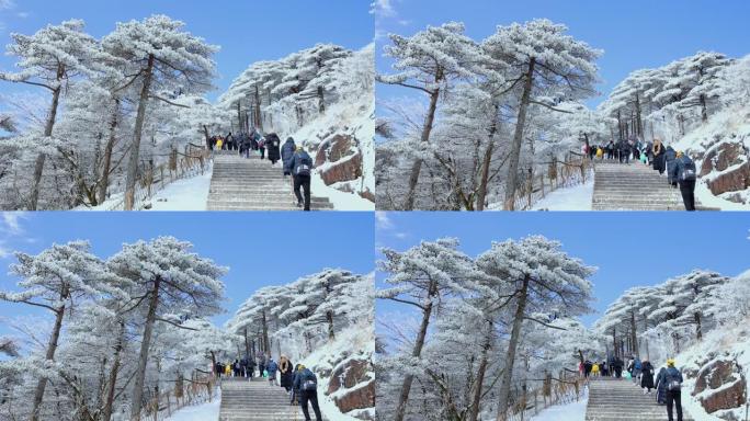 中国黄山冬季景观旅游度假游玩景区