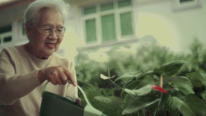 高级妇女浇水植物绿化