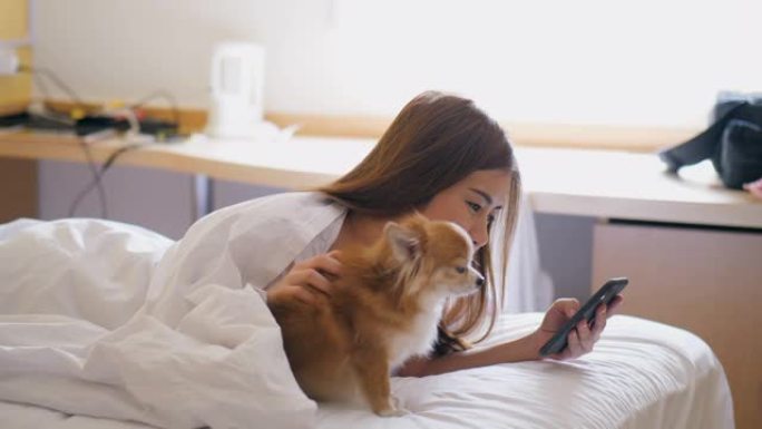 用智能手机和可爱的宠物狗在床上