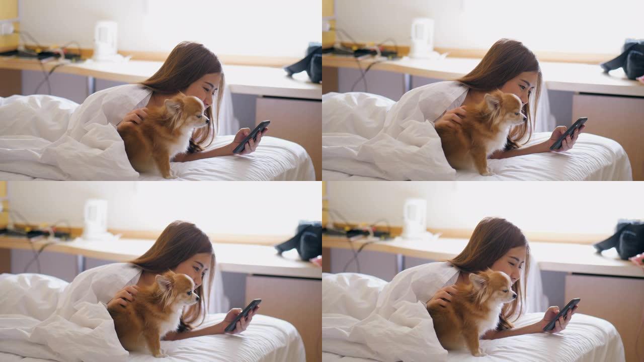 用智能手机和可爱的宠物狗在床上
