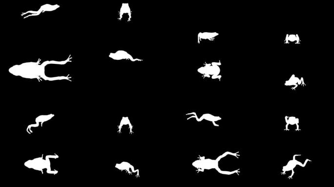 黑色背景上的跑步青蛙剪影。动物，野生动物，游戏，返校的概念，3d动画，短视频，电影，卡通，有机，色键