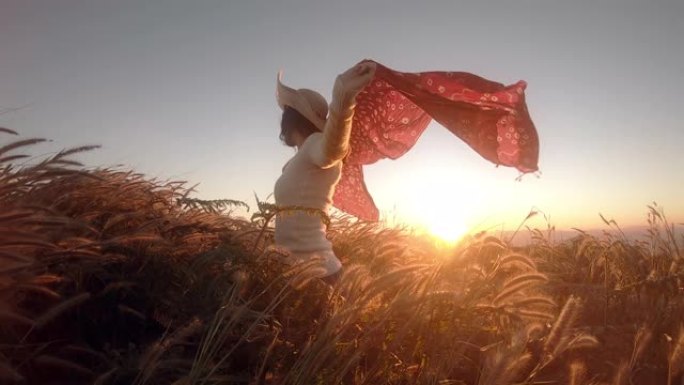 SLO MO美丽的女人在草地上快乐，在日落时无忧无虑的感觉