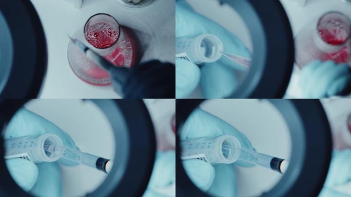 手握手套的放大镜中的镜头，用微量移液管在样品管中应用化学液体。具有用于遗传学研究的现代医疗设备的创新