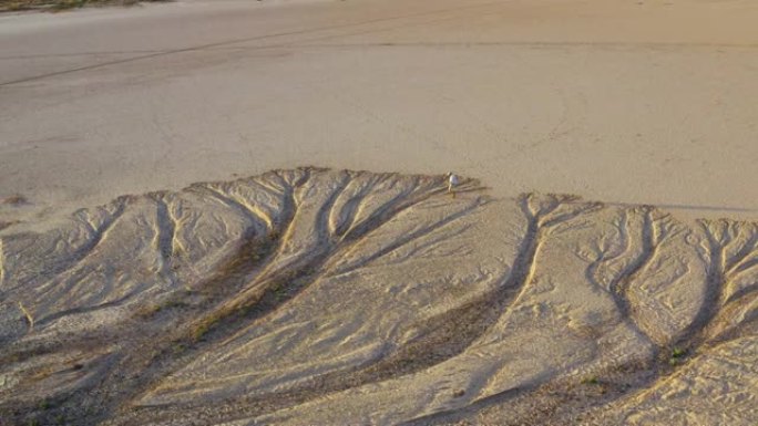 气候变化。由于气候变化和全球变暖造成的干旱，一个饱受摧残的农民走过干旱大坝的图案化的破裂泥面的鸟瞰图