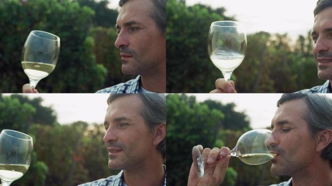 中年男子在葡萄园闻到和品尝白葡萄酒的肖像。专业男性农民和酿酒师享受工作成果和酒庄产品质量的真实照片