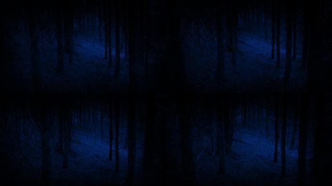 晚上穿过可怕的黑暗树林