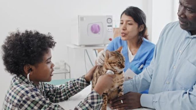 小男孩和医生一起检查他的猫