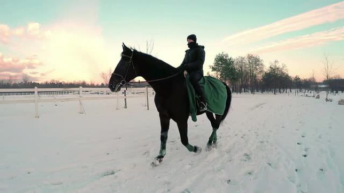 慢动作: 年轻女子在雪地里骑着大黑马