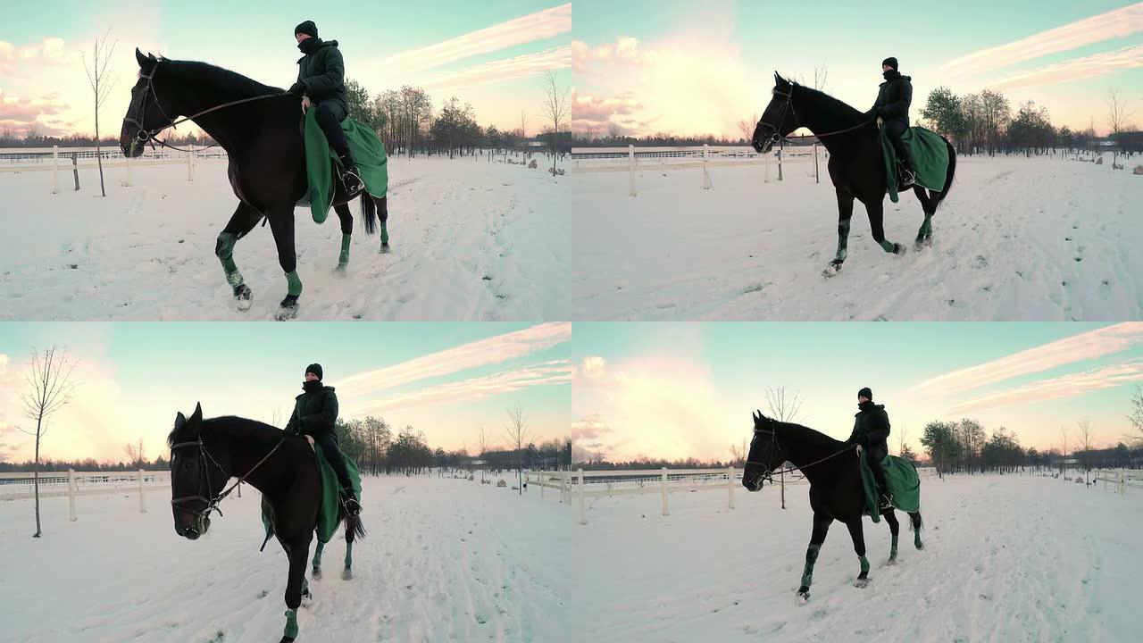 慢动作: 年轻女子在雪地里骑着大黑马