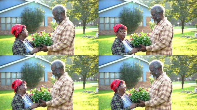 资深非裔美国夫妇在院子里种花