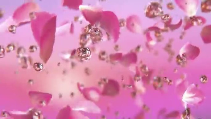 玫瑰花瓣在慢动作4K中与水滴爆炸