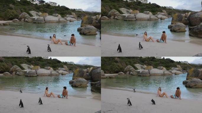 Close-up.Tourist夫妇坐在南非开普敦的巨石海滩上观看非洲企鹅