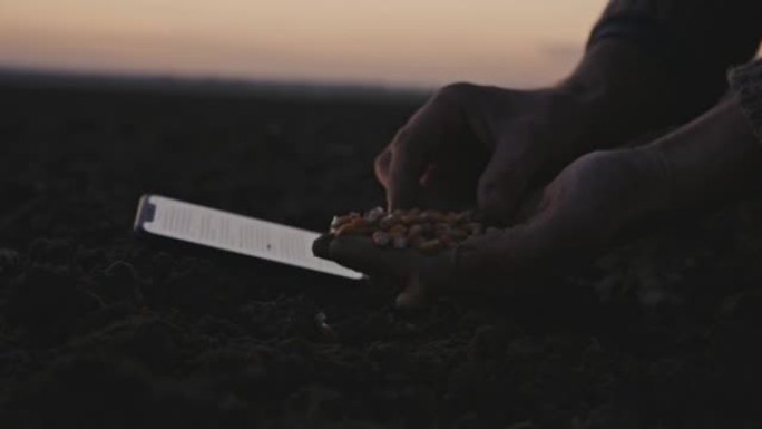 SLO MO Farmer滚动智能手机以获取有关玉米种子的信息