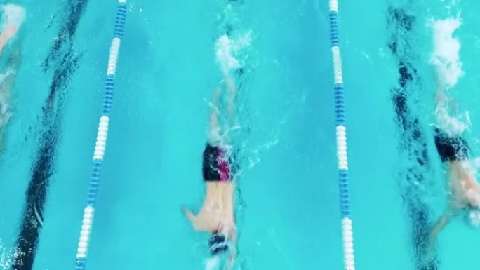 三名专业游泳运动员在游泳池训练。顶视图