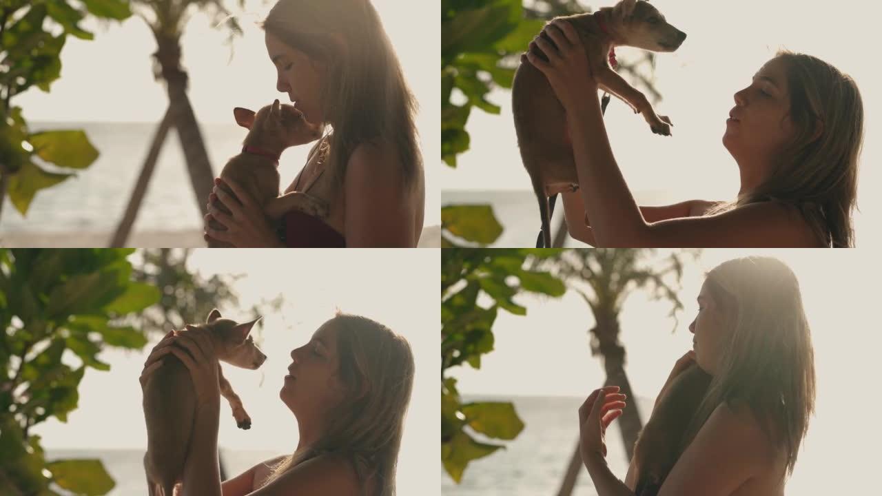 年轻女子在海滩上与狗拥抱