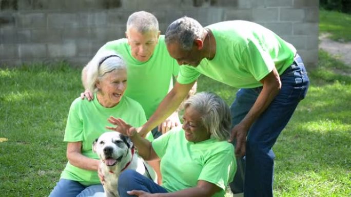 四名老年人在宠物收容所做志愿者，与狗一起玩