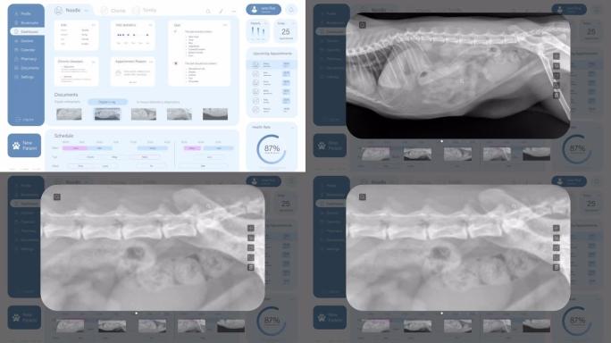 兽医诊所专业医疗软件的光接口模型。专门的计算机程序，用于兽医安排约会，存储x射线照片，患者信息。