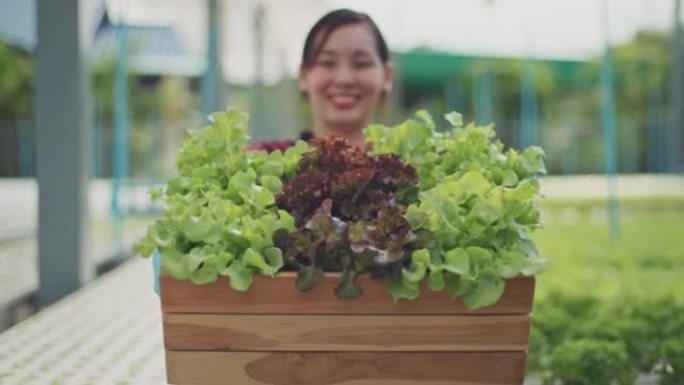 农民把蔬菜放在篮子里对着镜头