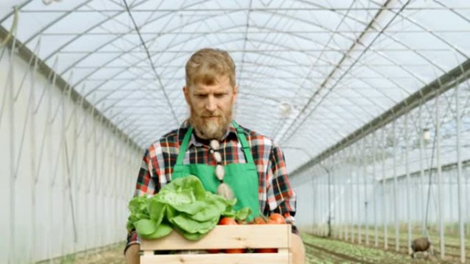 SLO MO园丁提着装满新鲜蔬菜的板条箱