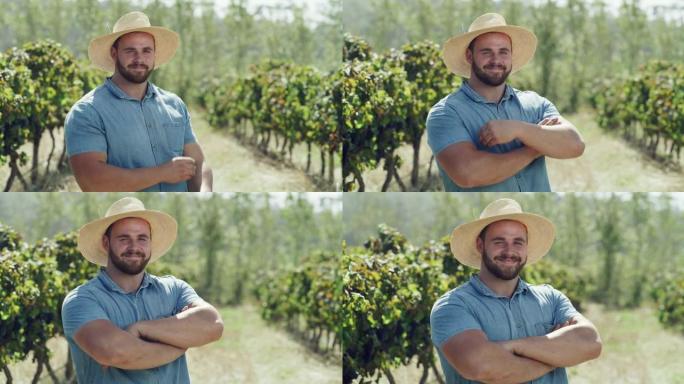 4k视频片段，一个年轻的男性农民自豪地站在他的葡萄园中
