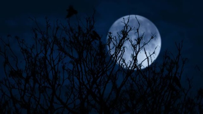鸟儿从树枝上飞出，月亮在后面