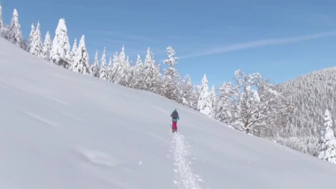 空中: 在朱利安阿尔卑斯山进行分裂旅行的妇女在白雪皑皑的草地上远足。