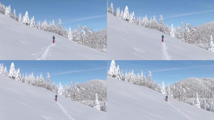 空中: 在朱利安阿尔卑斯山进行分裂旅行的妇女在白雪皑皑的草地上远足。