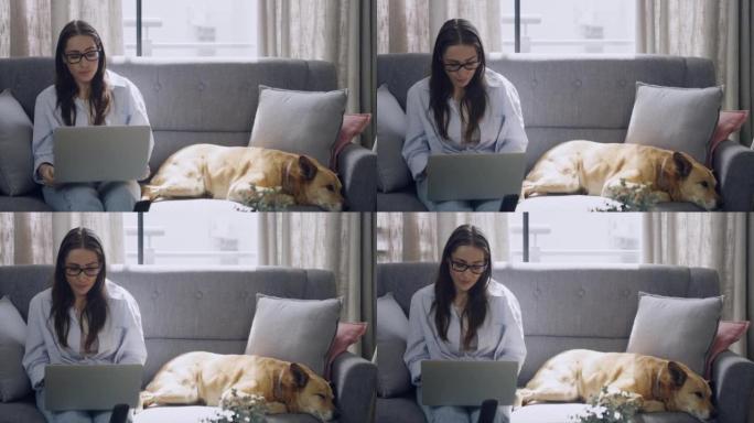 女人在家工作时在她旁边的笔记本电脑上打字。与宠物坐在一起的远程和自由工作者从事研究和撰写电子邮件。企