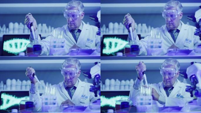 成熟的实验室科学家使用吸管滴管填充测试猴痘管，并在紫外线照明的实验室检查化学反应。生物化学家，基因工