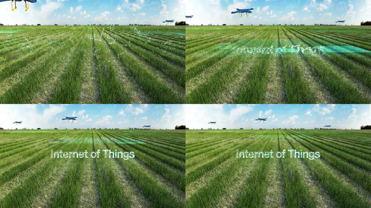 无人机扫描农场，分析田野，智能农业连接 '物联网'，4k电影。