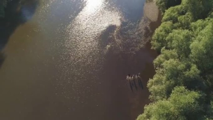 空中家庭带三个孩子在河水浅水区散步