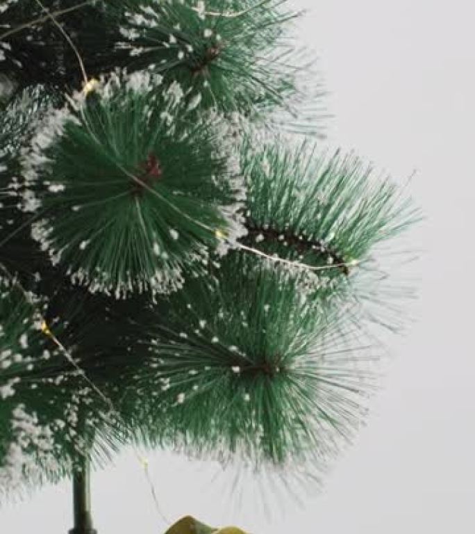 白色背景上的木制架子上的一棵小圣诞树的垂直特写镜头