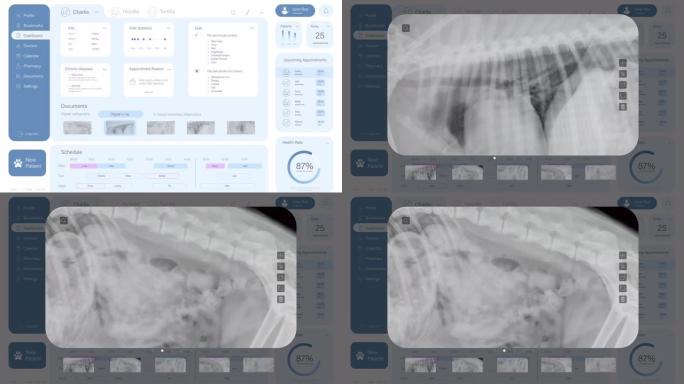 兽医诊所专业医疗软件的光接口模型。专门的计算机程序，用于兽医安排预约，检查射线照相图片和进行诊断。