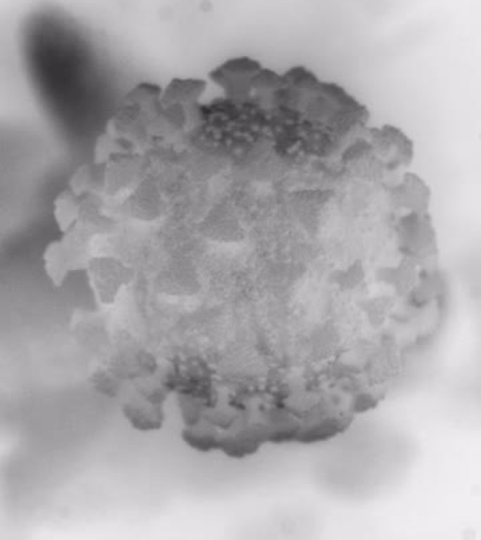 概念性病毒细胞的微观视图