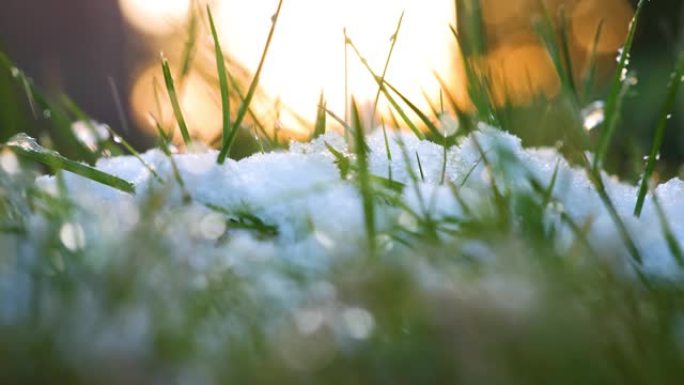 草地上的积雪草地上的积雪