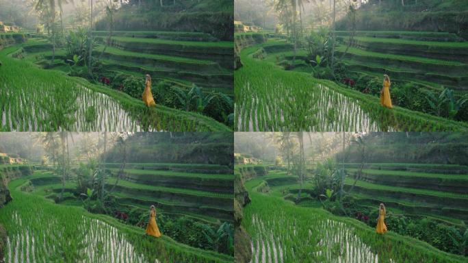 穿着黄色连衣裙的稻田旅行女人在水稻露台上散步，通过巴厘岛印度尼西亚探索亚洲，探索异国度假的文化景观