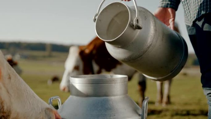 SLO MO无法识别的农民将牛奶倒入桶中