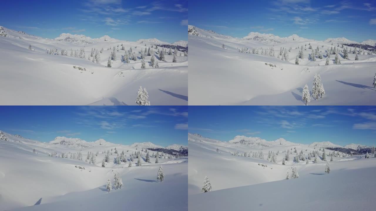卡姆尼克-萨维尼亚阿尔卑斯山的无人机田园诗般的冬季场景