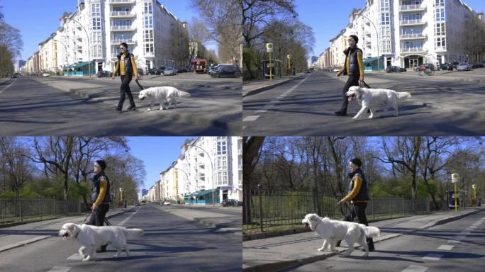 女人带着她的狗穿过城市街道