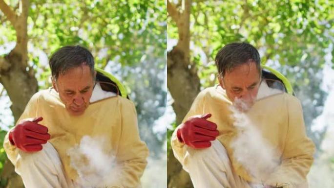 一名高级高加索男性养蜂人准备吸烟者的垂直射击