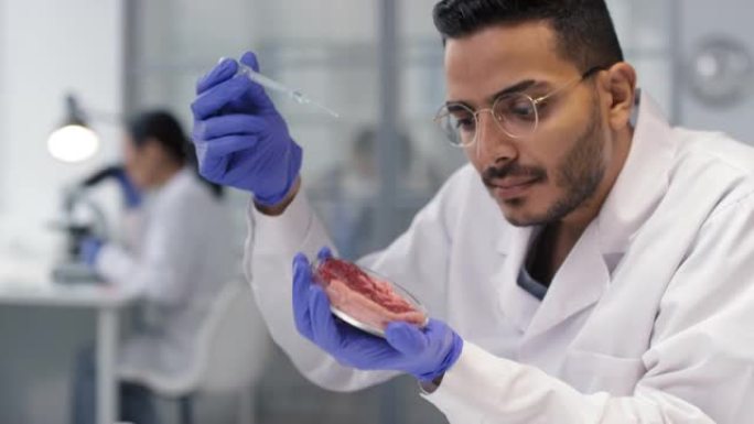 中东科学家检查体外肉