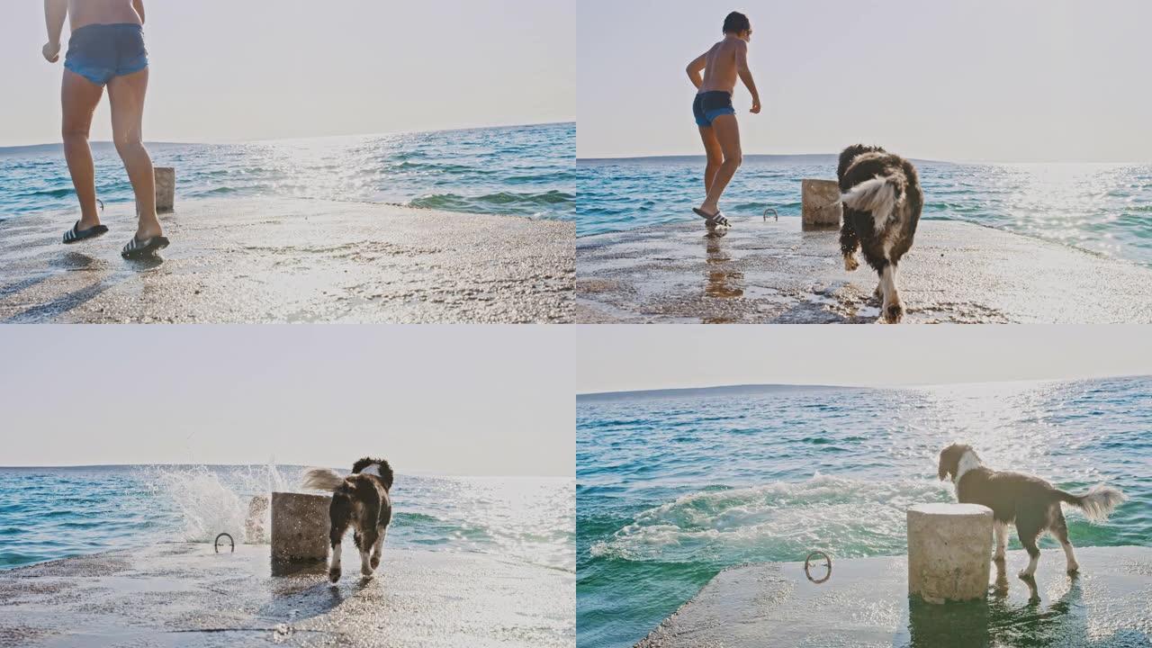 SLO MO Boy从码头跳入海中时与狗玩耍