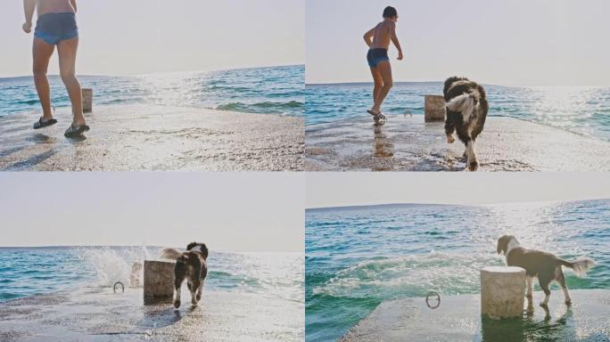 SLO MO Boy从码头跳入海中时与狗玩耍